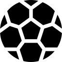 皮蝶研